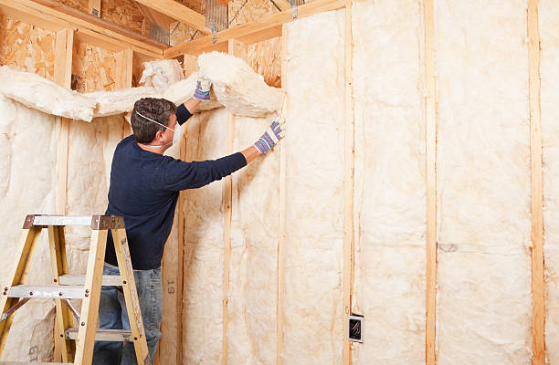 Best Insulation Removal  in Valatie, NY